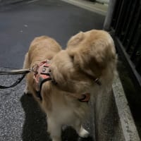 貞子？