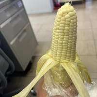 ピュアホワイト