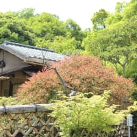 【京都幕間旅情】光悦寺,POMERA-DM-200はワープロの正統進化のように思えるPOMERA