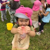 ３歳児 ひまわり組 園外保育～多摩川で水遊びを楽しもう～
