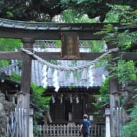 散歩道　　長崎神社鳥居七夕　　　31