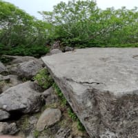 白馬大池から栂池へ