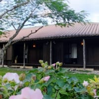  GoToで西表島#3(宿&夕食)