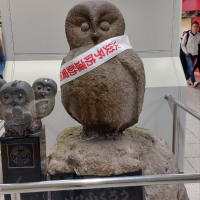 いけふくろうの冬支度2024
