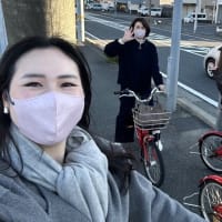 お正月模様
