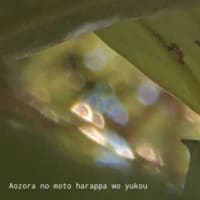 光のつぶつぶ