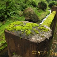 久々の山行、それは人生の縮図だった... Part 2