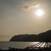 海へ