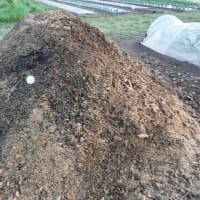 廃菌床堆肥作り