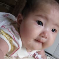 静かで爽やかな朝に