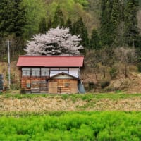 GWに撮った写真