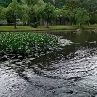 ２０２５年6月25日の越後湯沢
