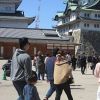 名古屋城は、春まつり