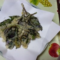 三回目の鳥取(^○^)