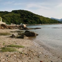 大雨のはずやなかった？？