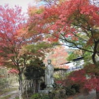 晩秋の箱根