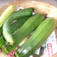 今日も何もできそうになく