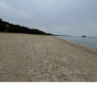 今日の虹ヶ浜