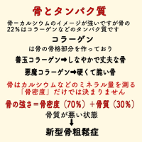 タンパク質　必須