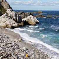 白浜旅行（3）