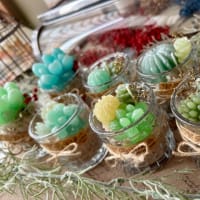 ピクシー森の多肉植物キャンドル　他 2025夏森  Zakkaの森作品紹介 