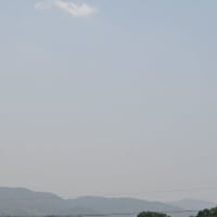 ウツボグサを頂く