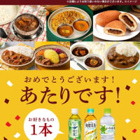 何にしよう？