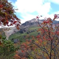 那須山の紅葉🌿❤🍁　パート3