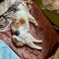 バタバタのオフ日