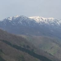 大白木山・根尾