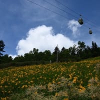 志賀高原東館山植物園