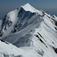 伯耆大山に