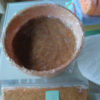 産膜酵母