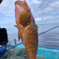 宝昌丸　7月9日・10日の釣果