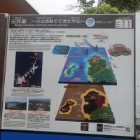 07/14思い出の旅日記　五島：大瀬崎への鳥見行-3（大瀬崎～三井楽間の海浜等の模様）