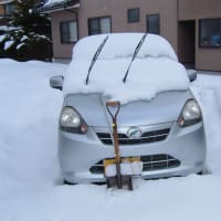 やはり　2月は冬です　雪降りました、