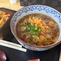 西伊豆　満天の星と海　瑠璃花　2025.4.20　－　4.21