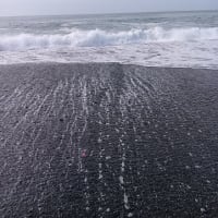 ２０２５年初夏＠西湘サーフルアーフィッシング