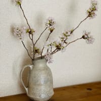 おうちでお花見