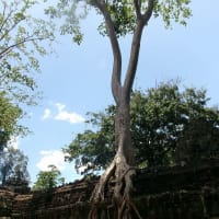 世界遺産･アンコール遺跡タ・プローム