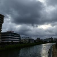 期日前投票行ってきます