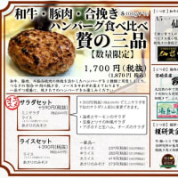 仙台牛・霧島山麓豚・国産合挽ハンバーグ食べ比べ『贅の三品』