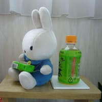ナースマン！！