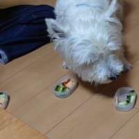 男子会・後編ていうか全編