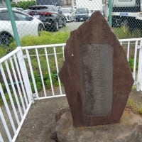 平塚市神田地区～神田幼稚園～田村けやき公園、丹沢山塊、田圃の向こうを新幹線が通り過ぎて行きました