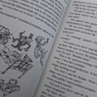 洋書三昧？