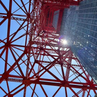 東京タワー　～下から見るか横から見るか～