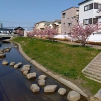 ようやく春が…