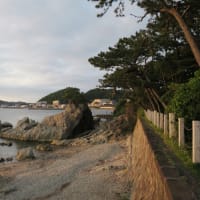 逗子海岸と葉山・森戸海岸など一巡。