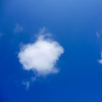 カメ漫だらだら石ちゃん散歩　新シリーズ002